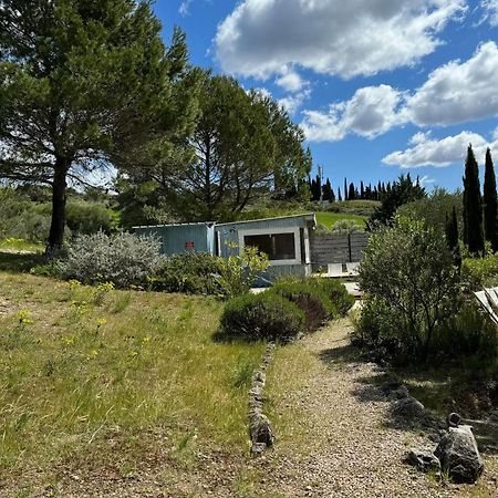 Chambre Tropicale Au Domaine De L'Aven Villeneuve-Minervois Exteriér fotografie